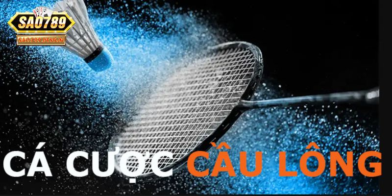 Vài nét về cá độ cầu lông Sao789